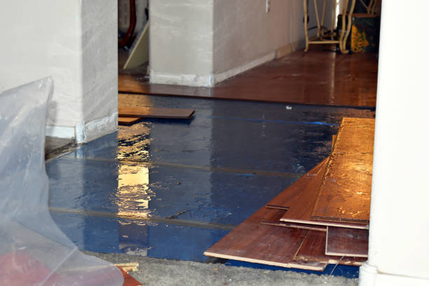 Professional Burst Pipe Cleanup technician working in Santa Fe, TX